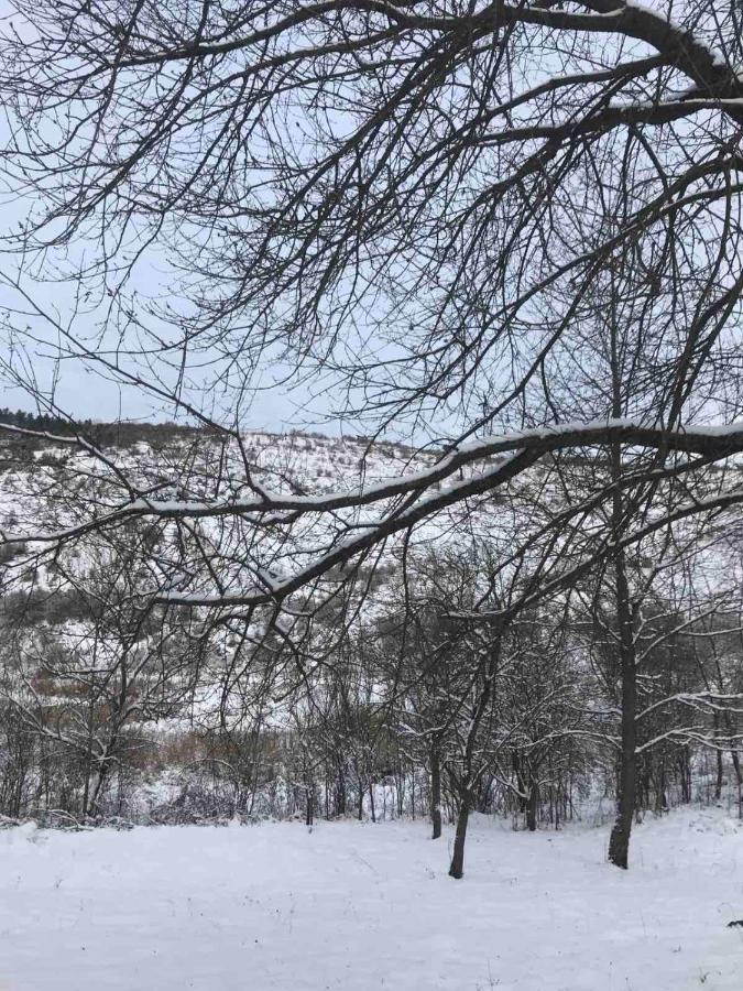 Korkostolo Vendeghazak Daire Aggtelek Dış mekan fotoğraf