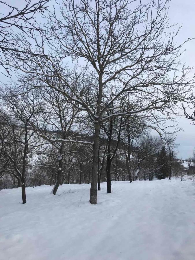 Korkostolo Vendeghazak Daire Aggtelek Dış mekan fotoğraf